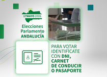 Como votar